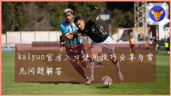 kaiyun官方入口使用技巧分享与常见问题解答